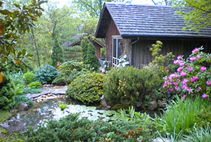 Studio in the Garden